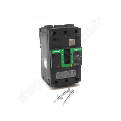 Switch-Disconnectors  - C123160LS - NSXmNA - interrupteur-sectionneur - 160A - 3P - borne EverLink