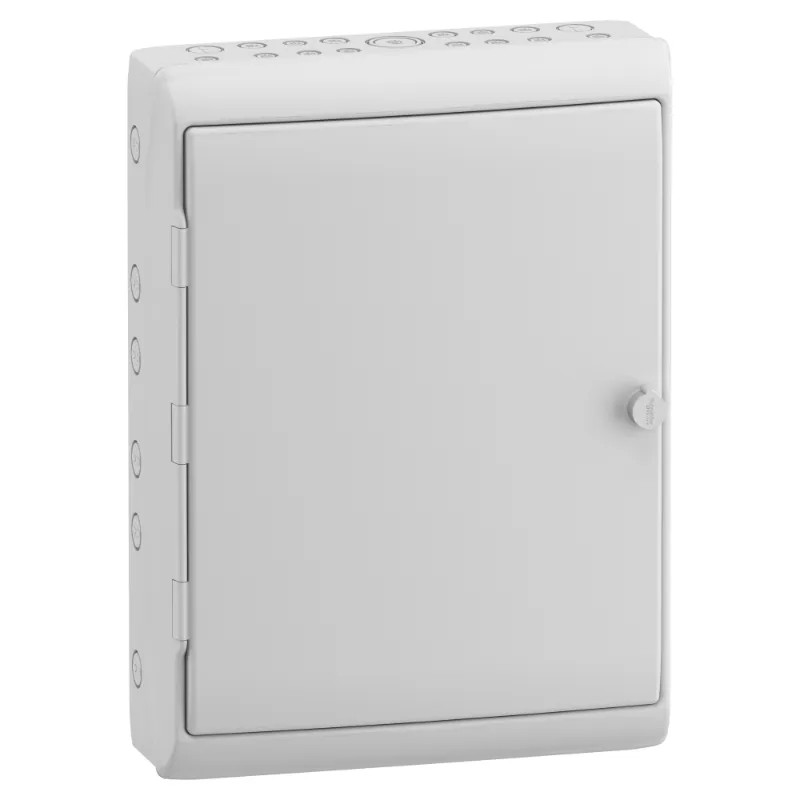 Mureva coffret  Polyvalent porte opaque 448x610mm - 13173M Schneider Electric