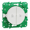 Inter doubl entrée/sortie SFSP - S520191 Schneider Electric