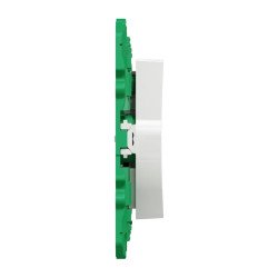 Inter doubl entrée/sortie SFSP - S520191 Schneider Electric