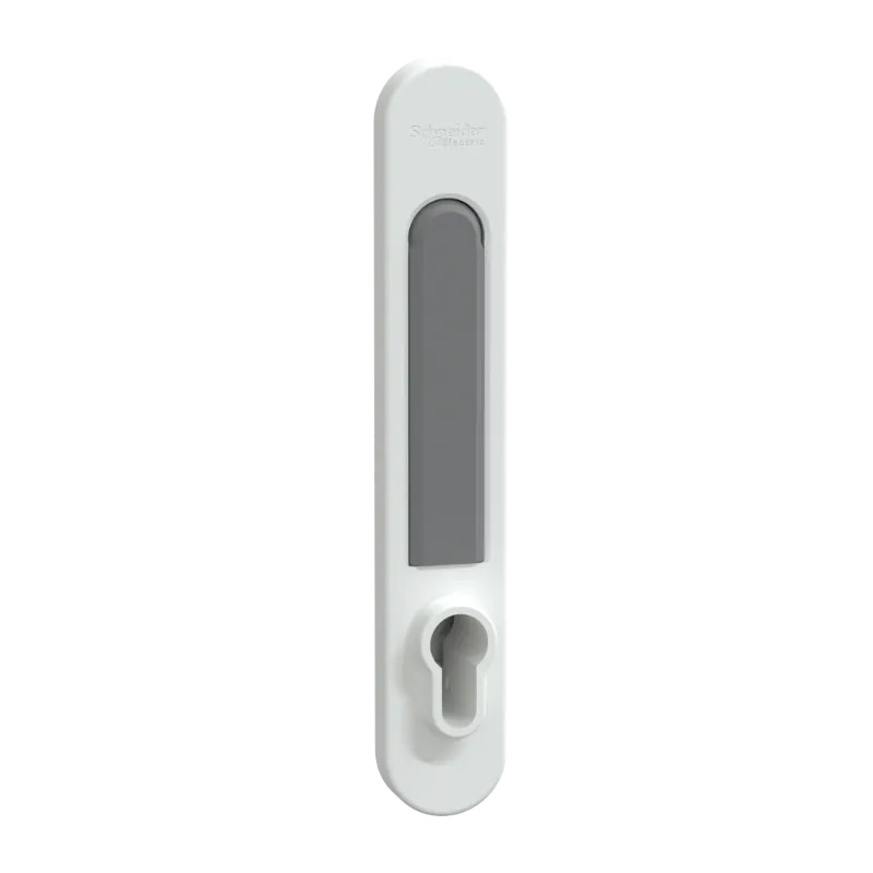 PrismaSeT G - Poignée EURO PrismaSeT - IP30 & pack 250 - Blanc RAL9003 - LVS07932 Schneider Electric