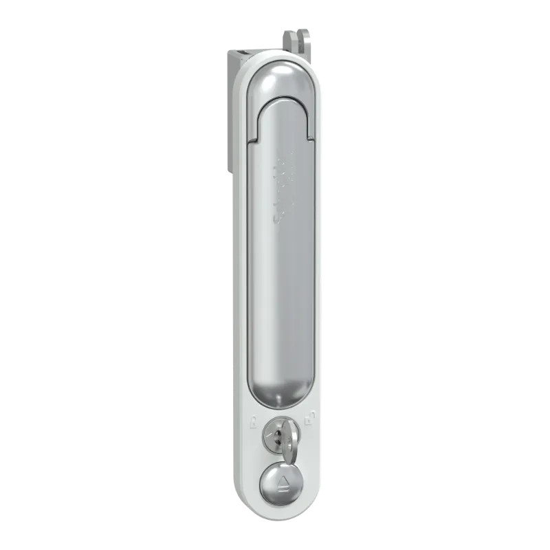 PrismaSeT G - Poignee PrismaSeT - IP30 et pack 250 - Blanc RAL9003 - LVS01218 Schneider Electric