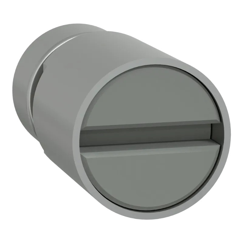 PrismaSeT G - Bloc insert combinaison fente tournevis - LVS07946 Schneider Electric