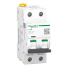 Acti9 iC60L - Disjoncteur - 2P - 10A - Courbe Z - 400Vac - 15000A/25kA - A9F92210 Schneider Electric