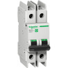 Multi9 C60BP 2P C 30A MCB - M9F42230 Schneider Electric