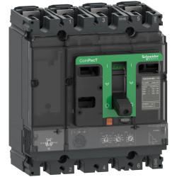 NSX250H disj ML2.2 250A 4P4D - C25H42D250 Schneider Electric