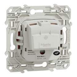 ODACE PC 2P+T RGE DETROMP - S52009903 Schneider Electric