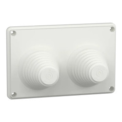 PrismaSeT G - Plaque passe-câbles montage direct - 2 entrées - LVS08899 Schneider Electric