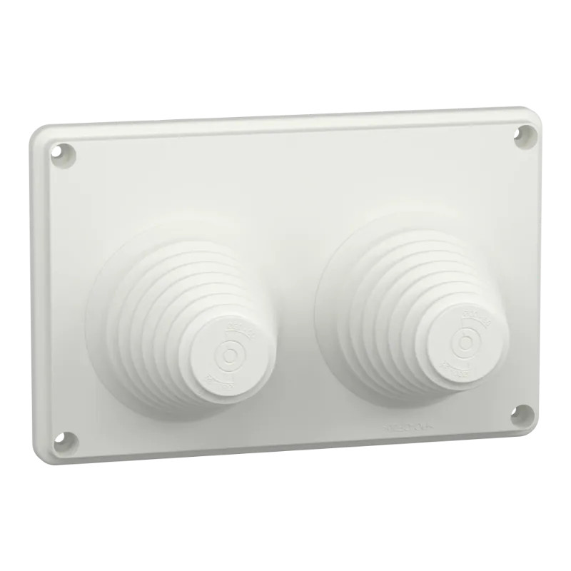 PrismaSeT G - Plaque passe-câbles montage direct - 2 entrées - LVS08899 Schneider Electric
