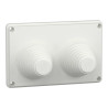 PrismaSeT G - Plaque passe-câbles montage direct - 2 entrées - LVS08899 Schneider Electric