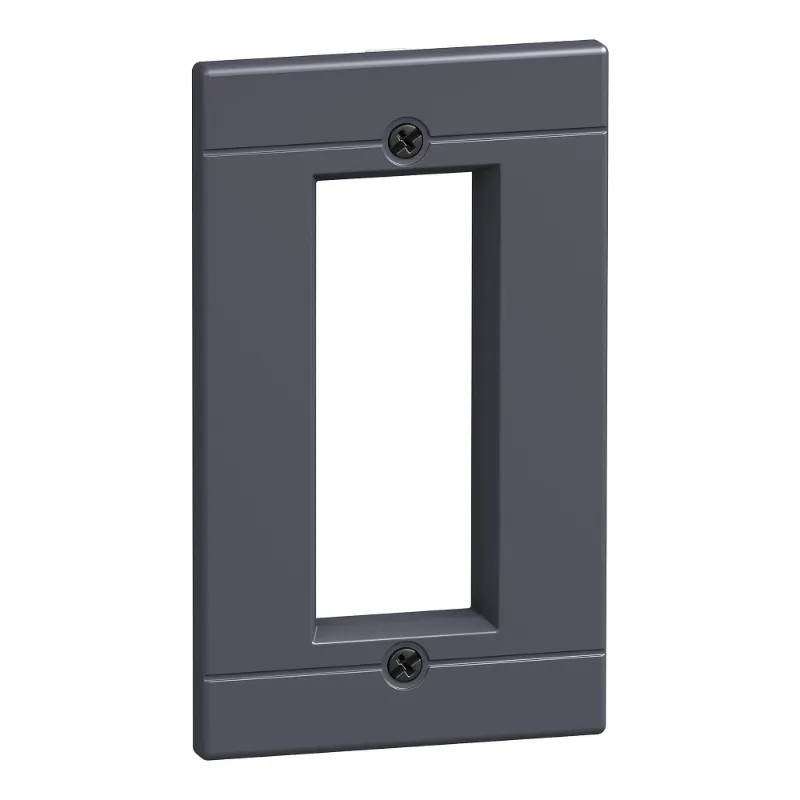 NSX250 cadre FAV IP40 maneton - 29315 Schneider Electric