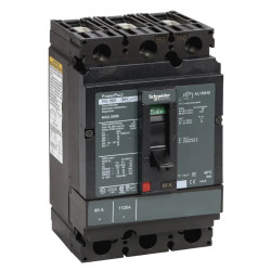 DISJONCTEUR BOITIER MOULE - NHGL36060 Schneider Electric