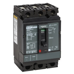 DISJONCTEUR BOITIER MOULE - NHGL36080 Schneider Electric