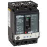 PPH dis bor 35k M3.2 100A - NHGL36100U31X Schneider Electric