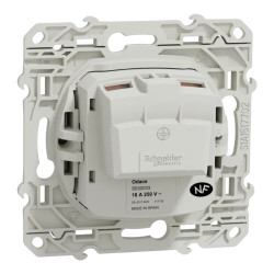 Odace - prise de courant 2P - aluminium - connexion à vis - S530033 Schneider Electric