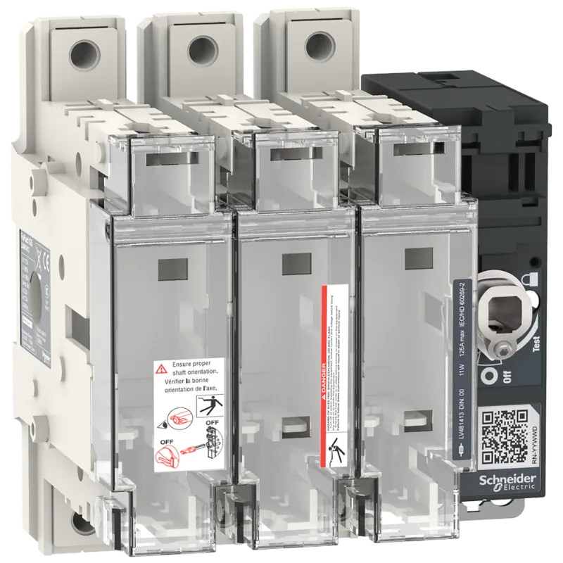FuPact GS SDF 125A 3P D - LV481413 Schneider Electric