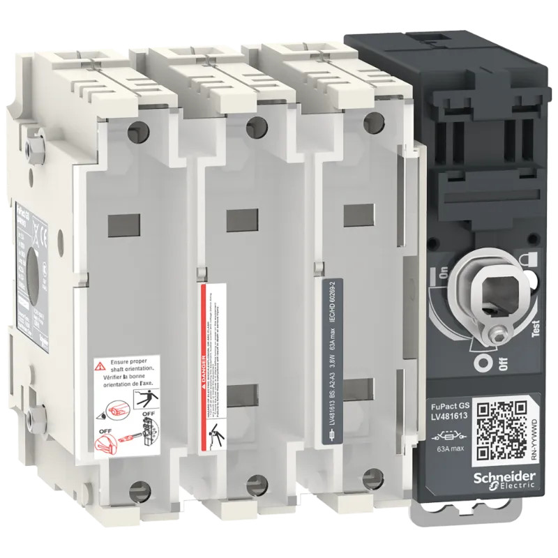 FuPact GS SDF 63A 3P BS - LV481613 Schneider Electric