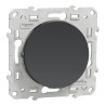 Odace - va-et-vient - anthracite - 10A - S540204 Schneider Electric