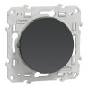 Odace - poussoir - anthracite - 10A - S540206 Schneider Electric
