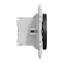 ODACE POUSSOIR ANTH 2B VR - S540207 Schneider Electric