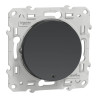 Odace - poussoir lumineux - anthracite - 10A - voyant LED bleu 0,15mA - S540276 Schneider Electric
