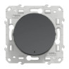 Odace - poussoir lumineux - anthracite - 10A - voyant LED bleu 0,15mA - S540276 Schneider Electric