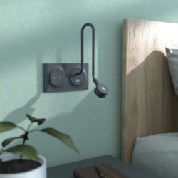 Prise 2P+T affleurante Anth - S540052 Schneider Electric