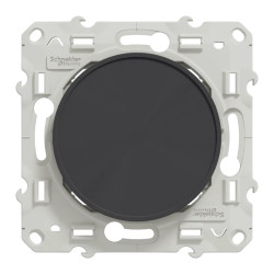Odace - Obturateur - anthracite - fixation par vis - S540666 Schneider Electric