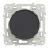 Odace - Obturateur - anthracite - fixation par vis - S540666 Schneider Electric