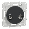 Odace - prise TV/FM - anthracite - individuelle - S540451 Schneider Electric