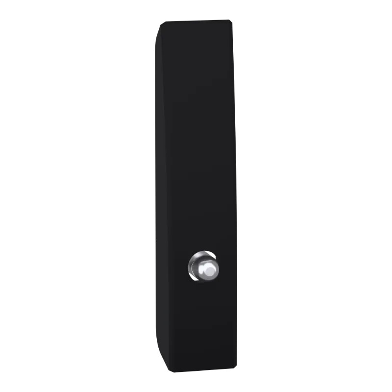 PanelSeT SFN Accessoires - Poignée cadenassable - NSYBLKHN123 Schneider Electric