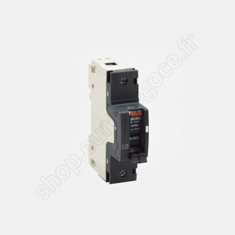 Circuit Breakers NG125  - 18784 - NG125L 1P 63A  C