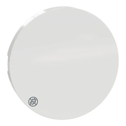 Odace - enjoliveur seul pour va-et-vient et poussoir - Antibacterien - S500604 Schneider Electric