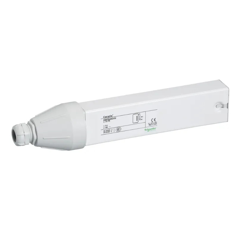 Canalis KBA - embout d'alimentation gauche 25A - blanc - KBA25ABG4W Schneider Electric