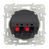 Odace - prise haut-parleurs - 2 sorties - anthracite - S540488 Schneider Electric