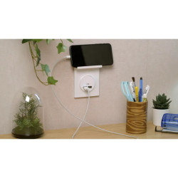Odace Styl Pratic - plaque support téléphone mobile 1 poste blanc - S520712 Schneider Electric