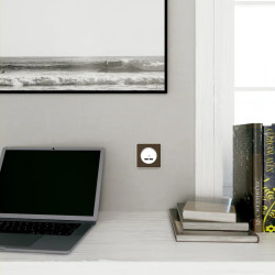 Odace Touch - plaque 1 poste bronze brossé avec liseré blanc - S520802L Schneider Electric