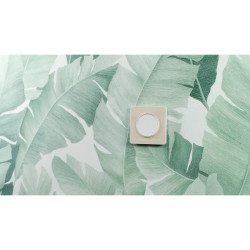 Odace Touch - plaque 1 poste bois naturel avec liseré blanc - S520802N Schneider Electric