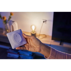 Wiser Ovalis - variateur poussoir - 2 fils - zigbee - Blanc - S320522W Schneider Electric