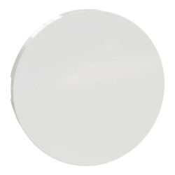 Odace - blanc - enjoliveur seul va-et-vient et poussoir - S520604 Schneider Electric