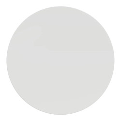 Odace - blanc - enjoliveur seul va-et-vient et poussoir - S520604 Schneider Electric