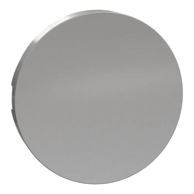 Odace -enjoliveur seul va-et-vient et poussoir aluminium - S530604 Schneider Electric