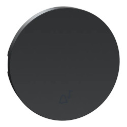 Odace anthracite - enjoliveur seul va-et-vient et poussoir - S540604 Schneider Electric