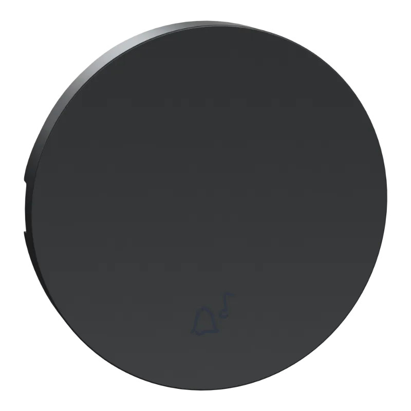 Odace anthracite - enjoliveur seul va-et-vient et poussoir - S540604 Schneider Electric