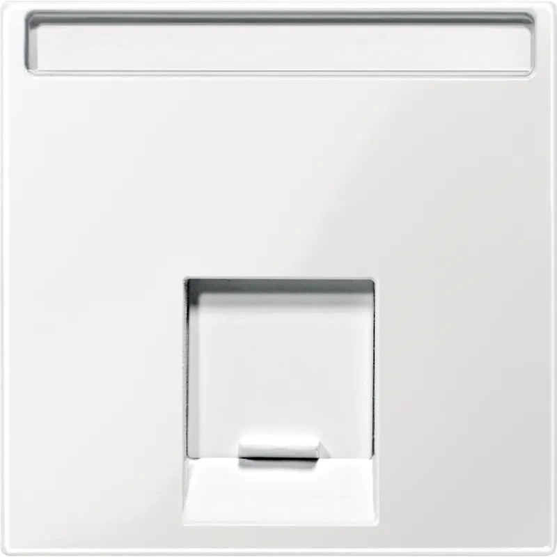 Merten System M - enjoliveur RJ45 central - IP20 - blanc polaire - MTN469819 Schneider Electric