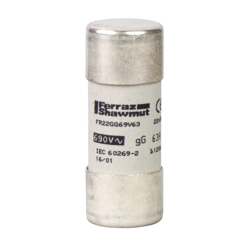 FUSIBLE 22X58 GG 25A - DF2FN25 Schneider Electric