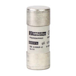 FUSIBLE 22X58 GG 40A - DF2FN40 Schneider Electric