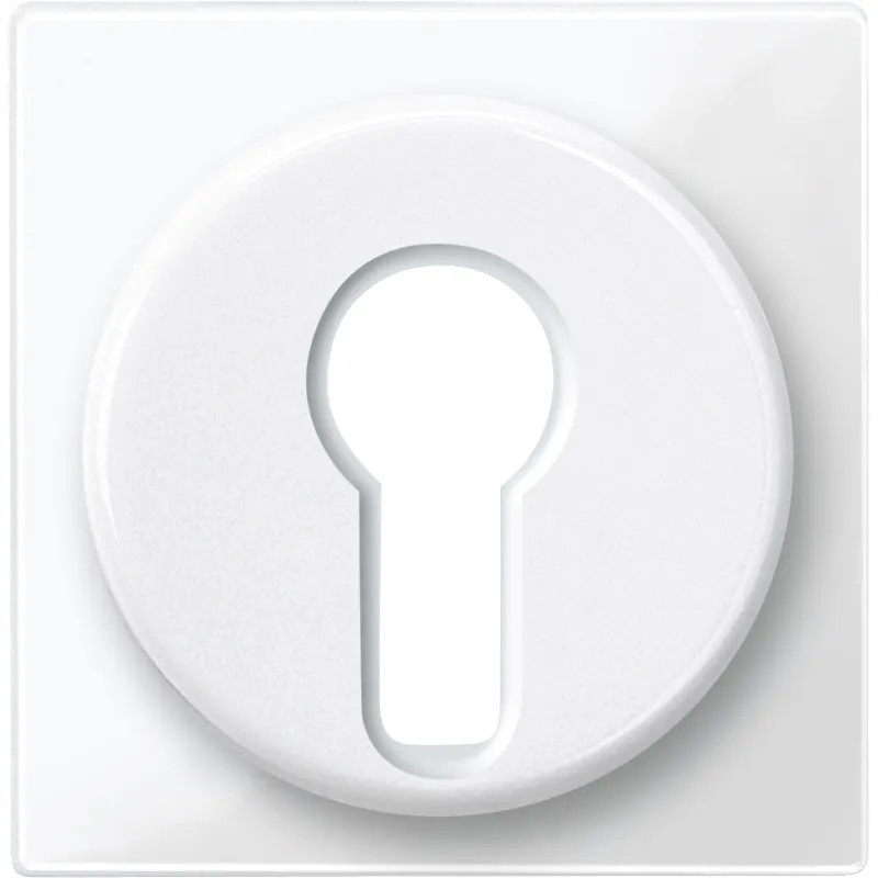 Merten M-Plan - enjoliveur pour commutateur à clé - blanc brillant - 319519 Schneider Electric