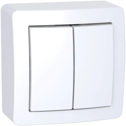Alréa, Double va-et-vient avec cadre saillie, blanc polaire - ALB62056P Schneider Electric