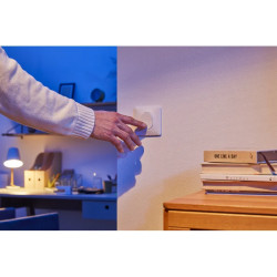 Ovalis - interrupteur va et vient - 10AX - Blanc - S320204 Schneider Electric